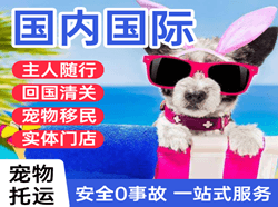 鄂托克旗乌兰空运公司国际宠物托运 【国